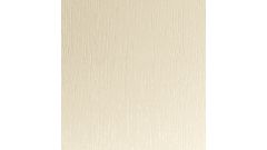 Expressions Legno Ivory Sample Swatch