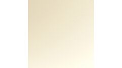 Expressions High Gloss Cream Sample Swatch