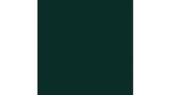 Expressions Matt Racing Green Swatch 