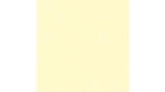 Bella Super Matt Vanilla Sample Swatch